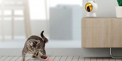 Обзор Petoneer Smart Dot: умная игрушка для кошек от Xiaomi с поддержкой удаленного управления