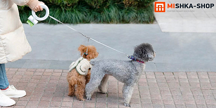 Обзор MOESTAR UFO Retractable Leash 2 Plus: удобный и безопасный поводок для собак